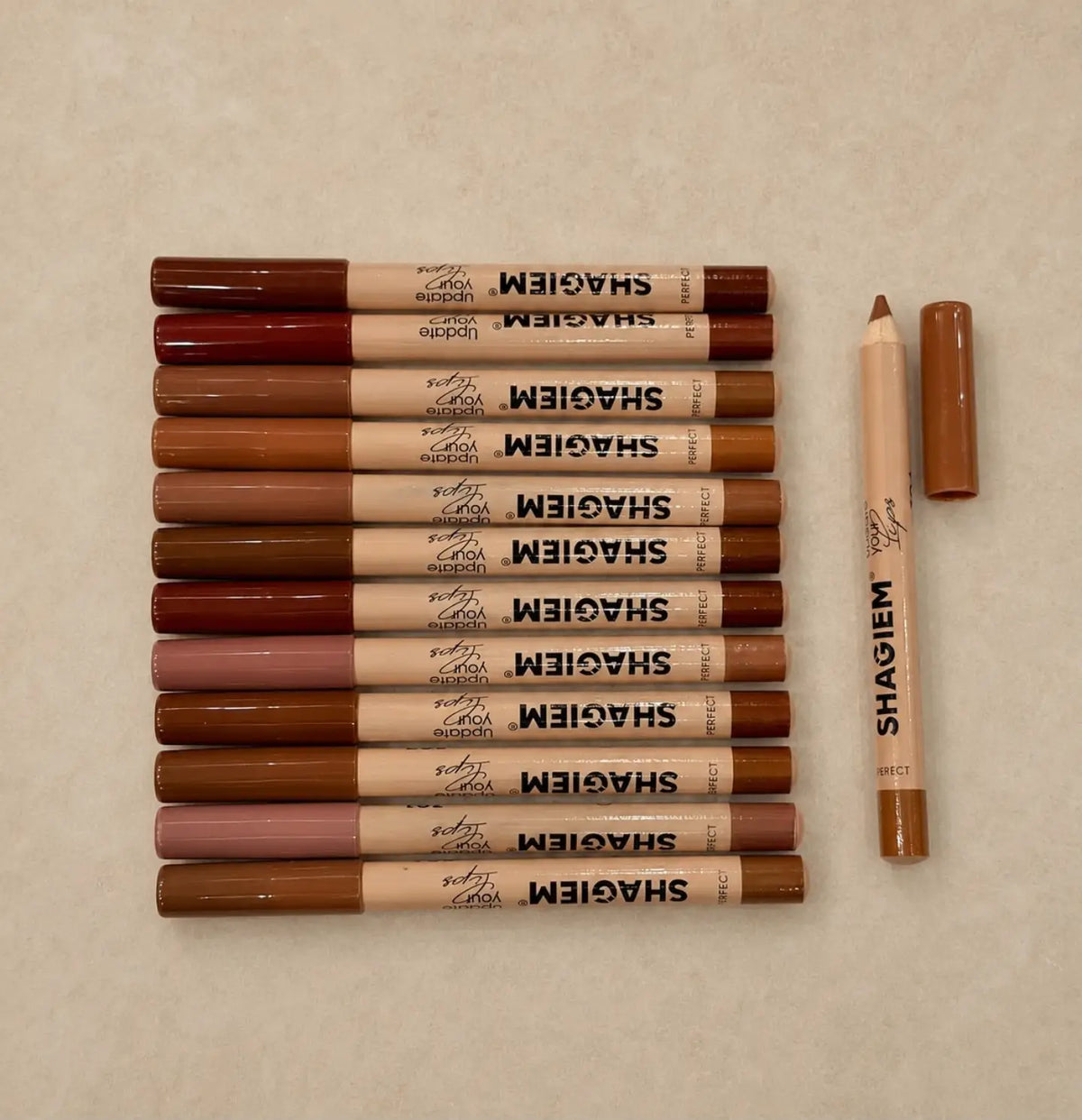 SHAGIEM Lip Pencils Set | 12 Different Shades